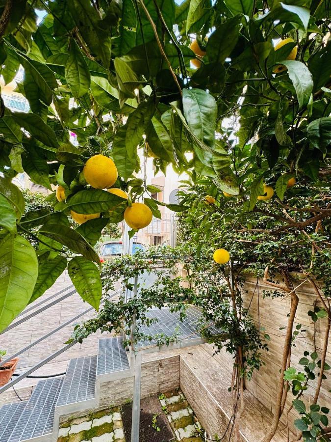 Ferdirisa Vesuvio Home&Garden 圣乔治阿克雷马诺 外观 照片